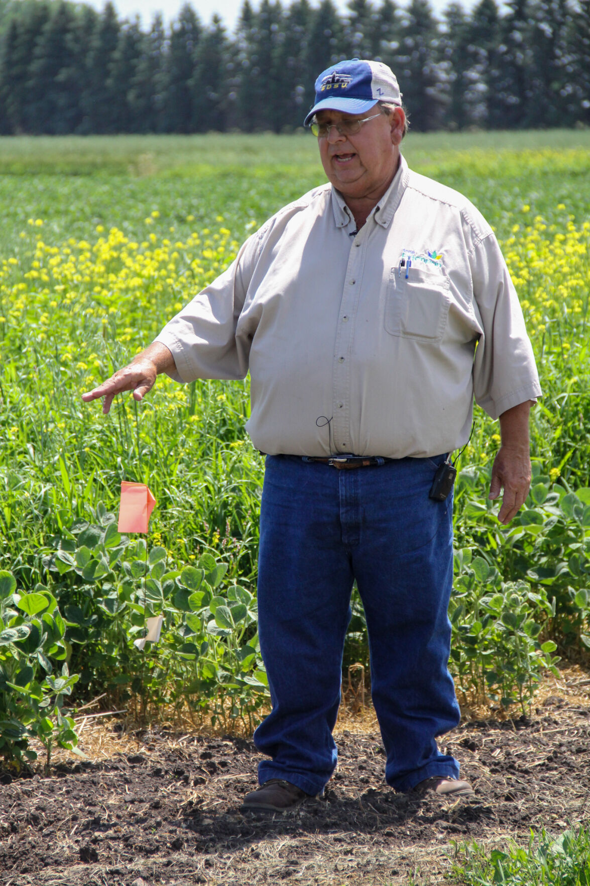 Virutal field days SDSU 2.jpg
